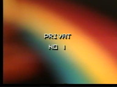 Privat No 1 aka Die Traum-Fick / Частное видео №1 или Трахай их классно   Effie Balconi, Sybille Handt, Uschi Karnat